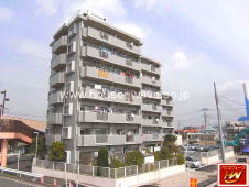 �����쐅�� �����ݼ�� 2380���~