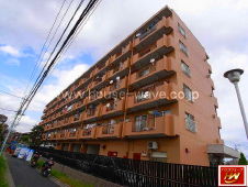 �����쐅�� �����ݼ�� 2280���~