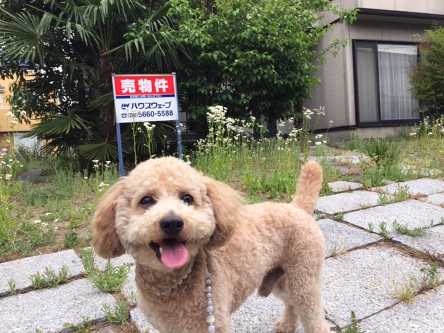 今に集中タイミング！