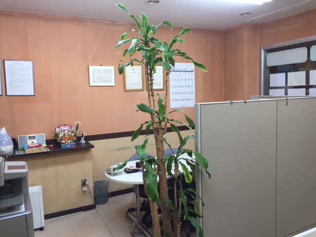 今年を振り返って。