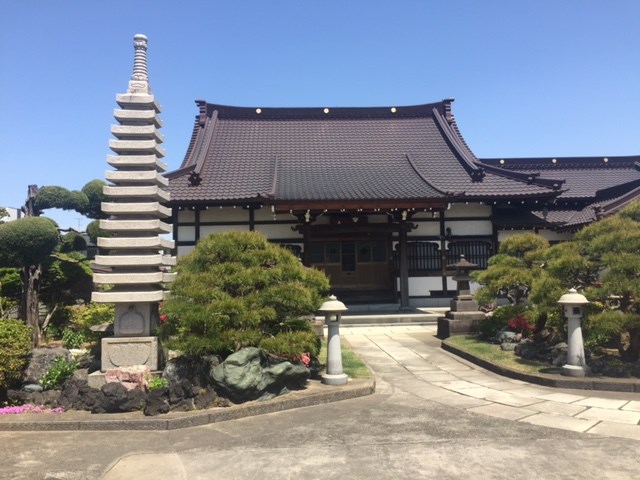 昨日は、愛犬太郎君のお墓参りに行ってきました～。