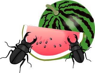 8/9(水)～8/16(水)まで夏季休暇を取らせて頂きます～。