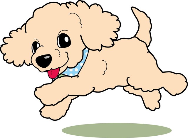 今月の23日は愛犬太郎君が・・・