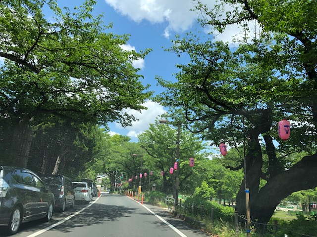 楽しいご案内！