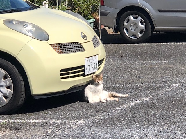 運転には気を付けましょう！