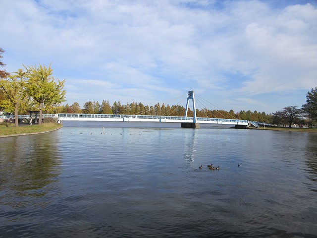 年賀ハガキ用の写真撮影で水元公園に行ってきました！