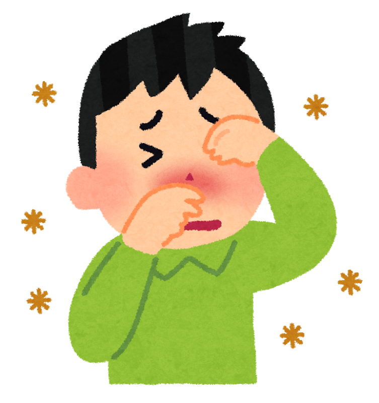 今年は異常な暖冬と言うことで花粉飛散も前倒しになるようです～。