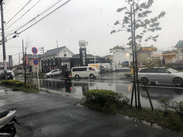 本日は東京の桜の開花宣言、そして雪