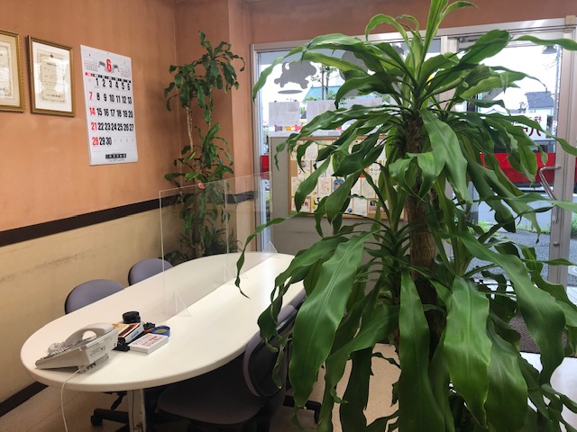 今期は１９年目（20期）になりました。