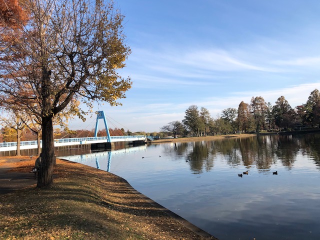 水元公園のある金町、人気あります！