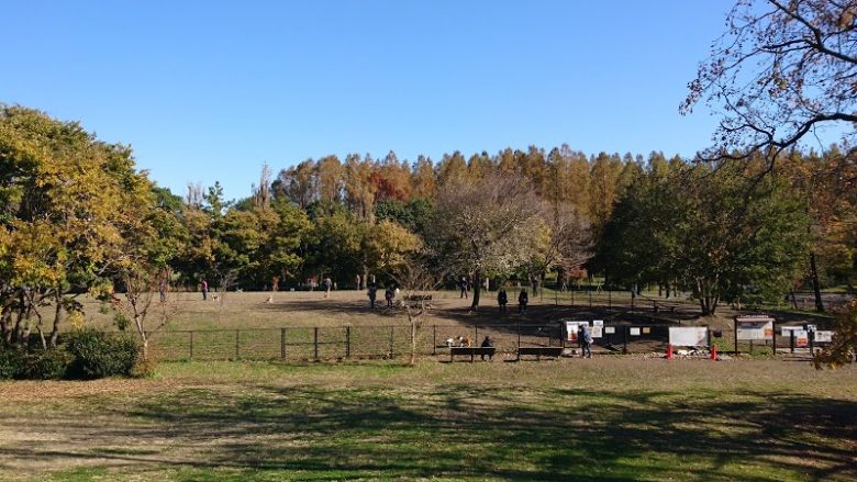 昨日、愛犬2名を都立水元公園のドッグランに連れて行きました～。