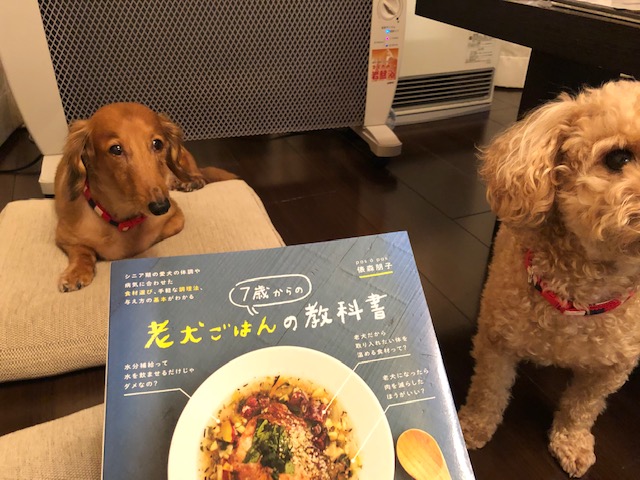 老犬ごはんの教科書