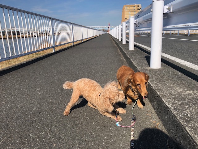 今日もいいお天気です！